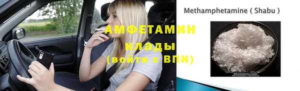 крисы Алексин