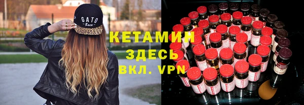 крисы Алексин
