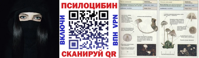 Псилоцибиновые грибы Psilocybine cubensis  Снежинск 